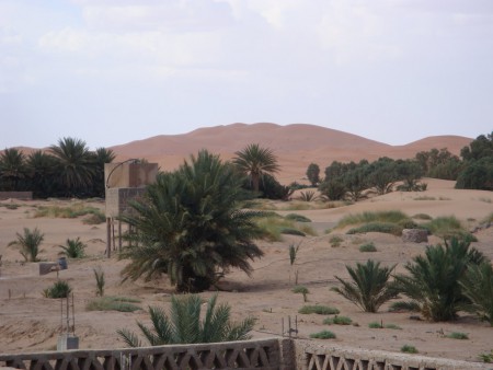 Merzouga - Le Sahara